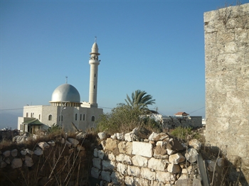 תמונת פוסט דחיי